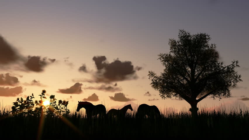Tree on meadow and horses at sunset, time lapse clouds