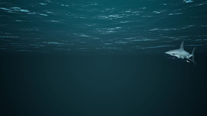 The moment a shark, a predator in the ocean, attacks a person. 3D animation.