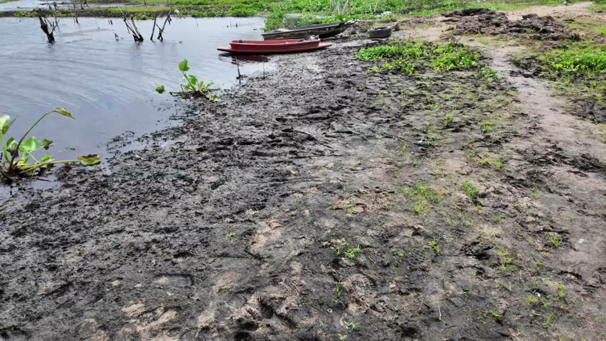 Muddy Path Near Water on a Summer Day