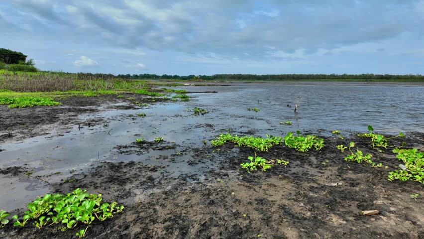 Muddy Path Near Water on a Summer Day