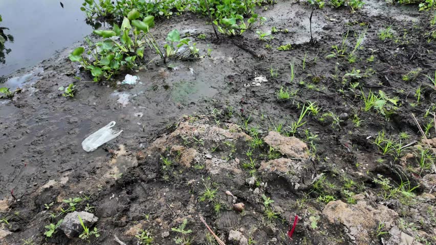 Muddy Path Near Water on a Summer Day