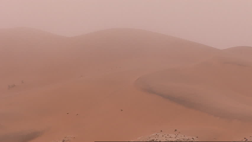 Dry desert landscape