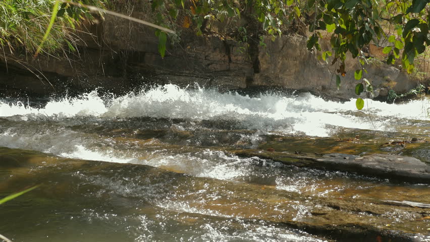 Serene forest stream with clear water cascading over rocks, surrounded by lush green foliage, conveying peace and natural beauty. Nature and Tranquility.
