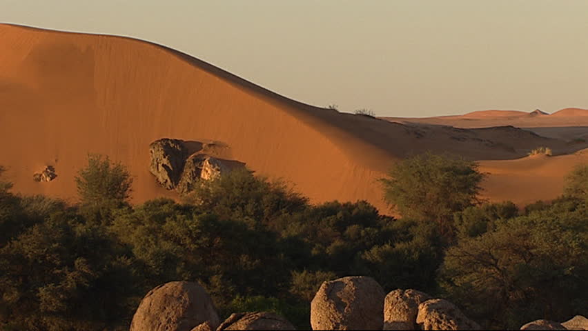 Desert landscape