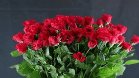 video Many red roses in a vase - Powered by Shutterstock - Get 15% off with code: PIKWIZARD15