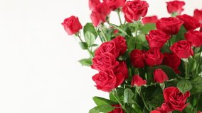 video Many red roses in a vase - Powered by Shutterstock - Get 15% off with code: PIKWIZARD15