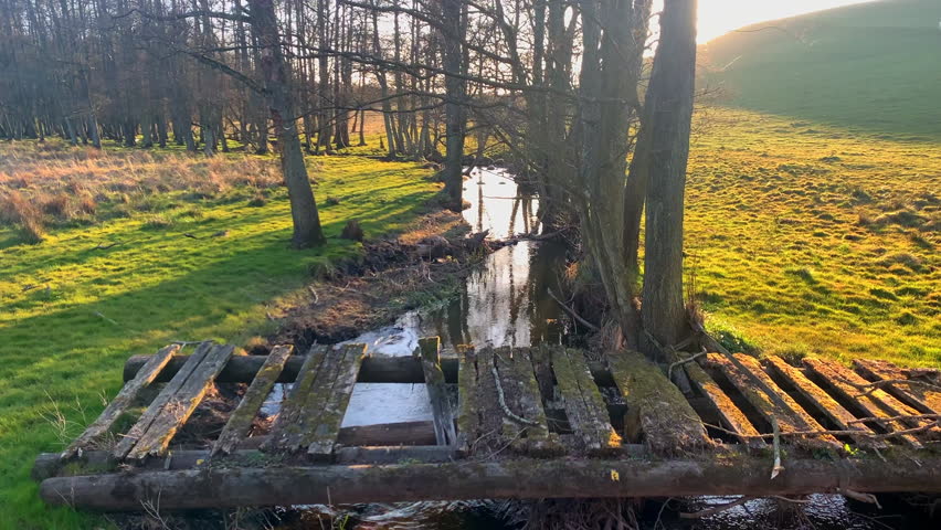 The month of April is the start of spring in southern Sweden. Leaves, flowers, begin to burst out and the temperature becomes more pleasant and the light returns. In the province of Skåne.