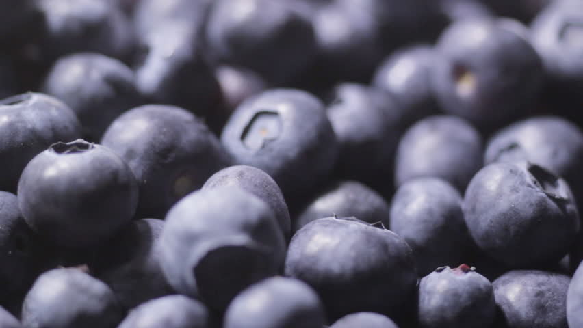 Blueberries Rotating