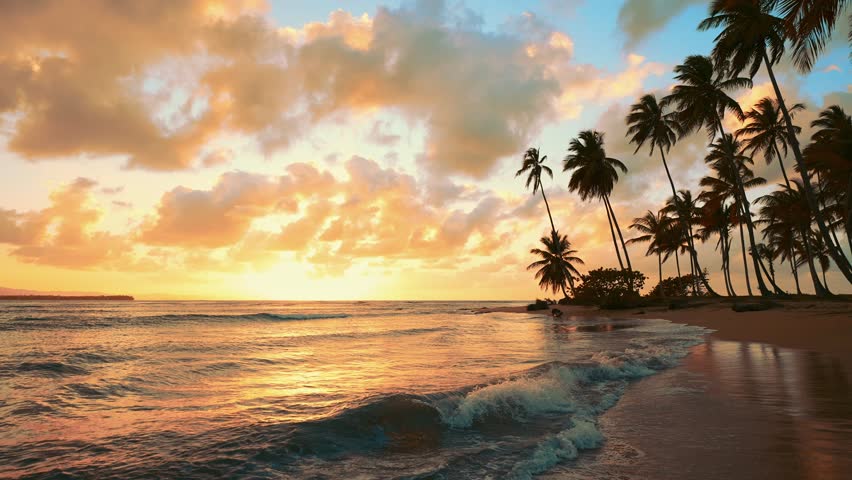 Fantastic sunset over the gently winding ocean. Scenic summer sunset in the Maldives. Luxurious palm trees over the sea under a colorful sky. Dream sunset over the tropical sea. Nature landscape.