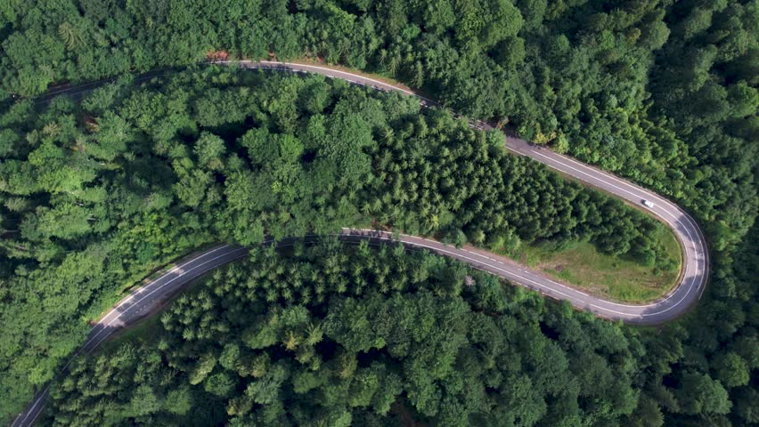 Curve asphalt road on mountain forest summer.	
Aerial view of the road passing through the mountain and green forest. 