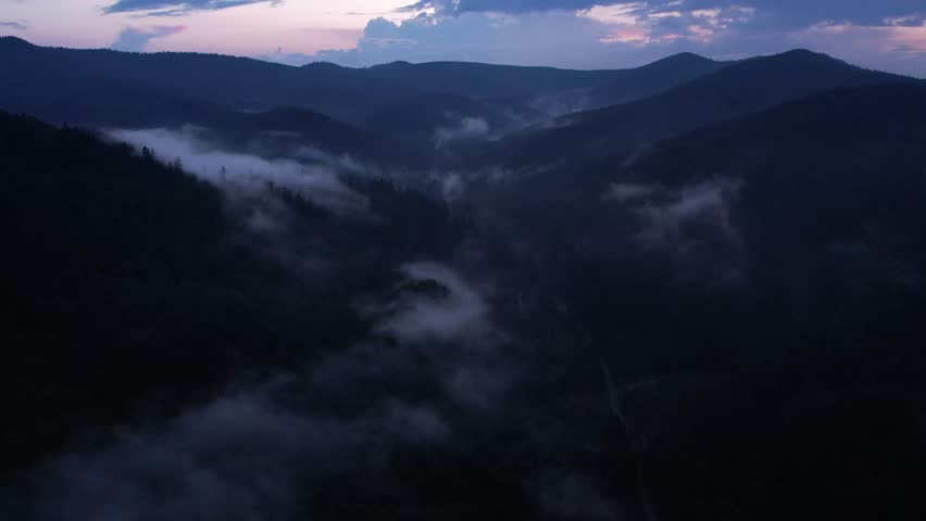 Mountains with pine forest in the fog at sunset. Foggy landscape with fir forest.