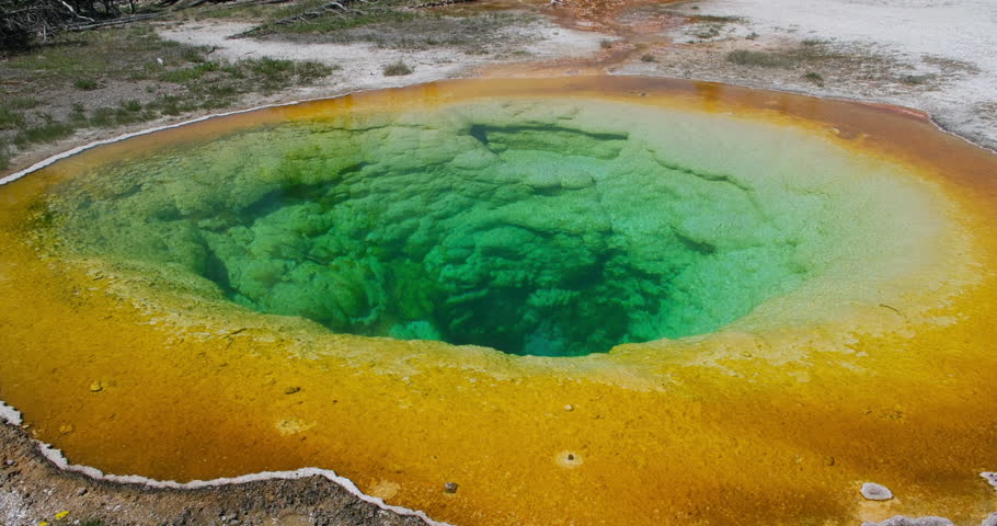 colorful Morning Glory Pool hot spring in the Yellowstone Upper Geyser Basin of the United States