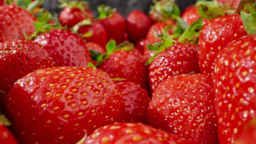 Ripe red strawberries. Strawberries are perfectly ripe and ready to be eaten. Delicious summer berries. Vegetarian Food. Organic food concept. Dolly in shot. Close-up in 4K, UHD