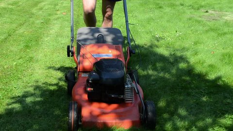 worker man with shorts and flip-flop shoes mow lawn in yard