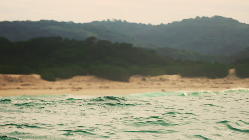 Dolphins jumping out of water slow motion New zealand Paihia bay of islands Delphine springen aus dem Wasser. Close short at South Africa while Sardine run breaking surface to make a breath. Fantastic