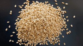 A closeup video of a handful of Sesame seeds on a dark background - Powered by Shutterstock - Get 15% off with code: PIKWIZARD15
