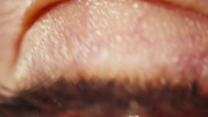 Closeup image of a human eye displaying a detailed iris with vibrant colors and textures