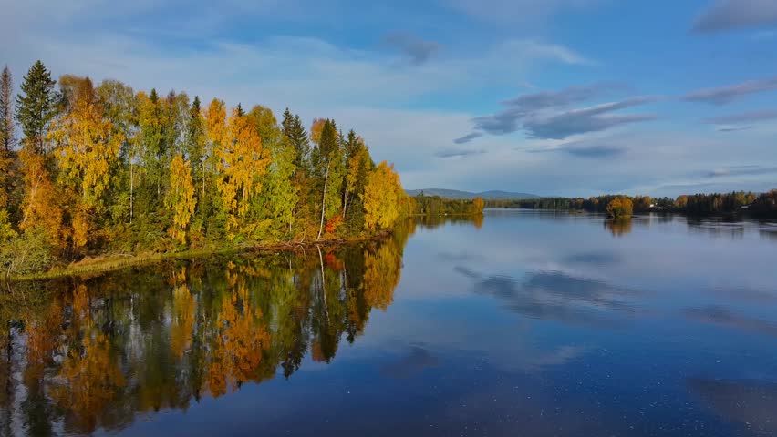 A drone footage over a tranquil lake in a forest with visible reflection on the water surface of the autumn trees under blue sky on a sunny day