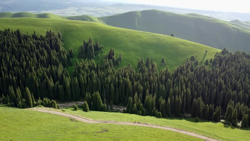 An aerial video of the rocky mountains covered with trees and green grass