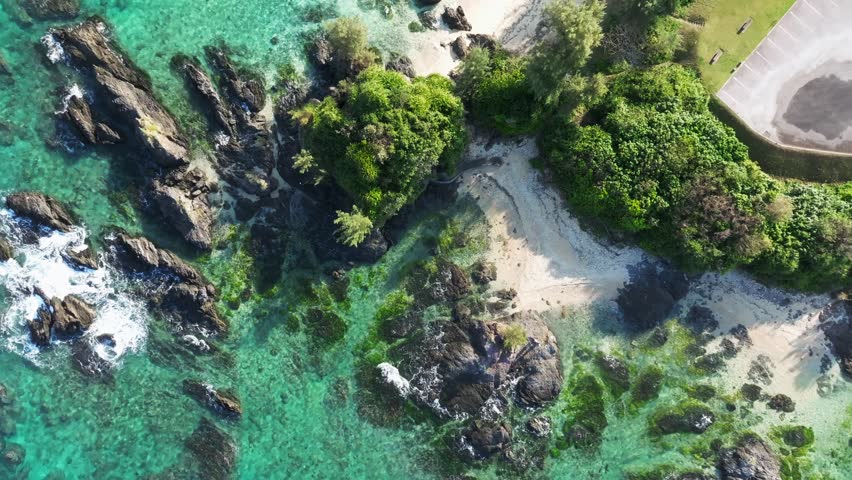 An aerial top view video of sea waves crashing on the rocky shore covered with trees