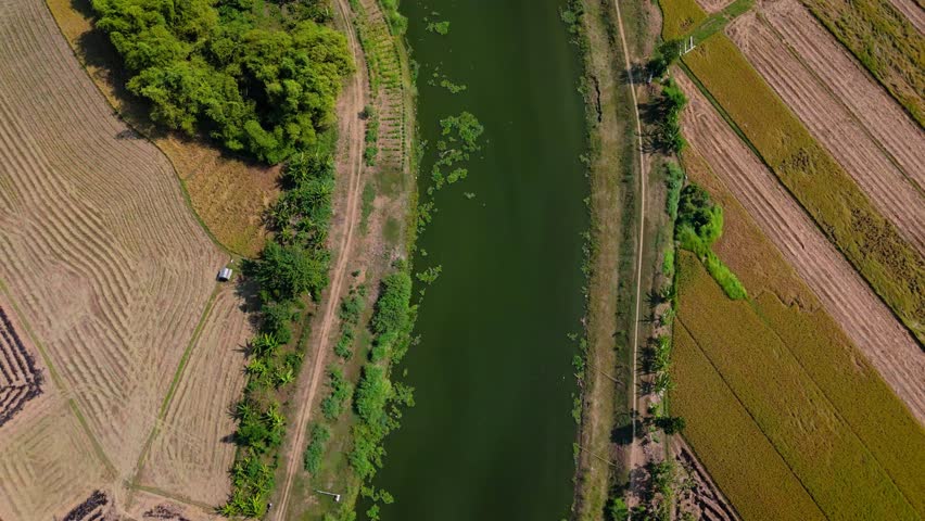 Aerial view of long green river with plantation