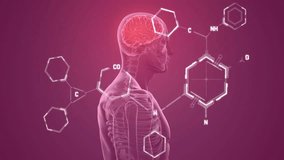 Animation of scientific data processing over human body with glowing brain. Global science, connections, computing and data processing concept digitally generated video. - Powered by Shutterstock - Get 15% off with code: PIKWIZARD15
