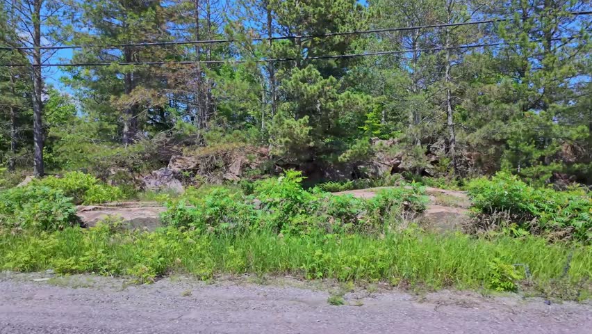 Forward Driving Plate right side view on Ontario King