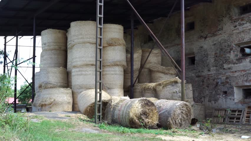 prepared hay for animals on the farm