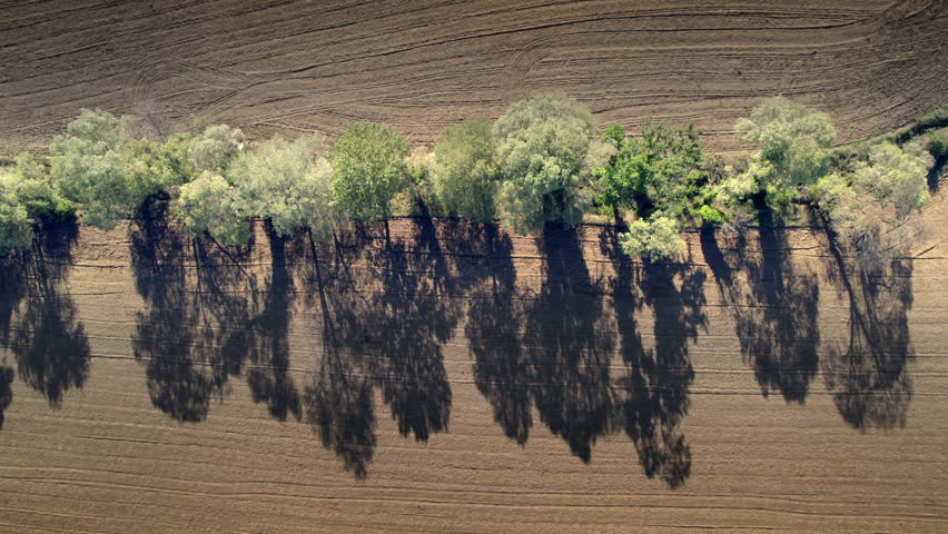 An aerial view of trees in the country of France in the state of Gard