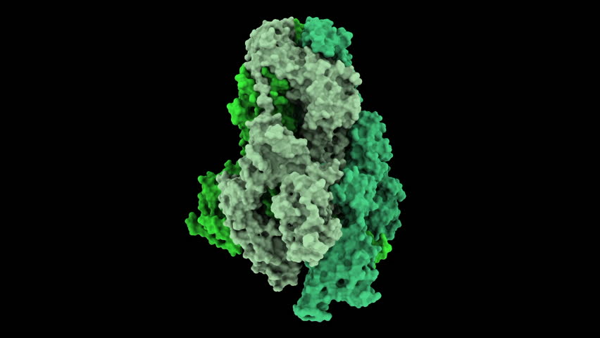 SARS-CoV-2 Omicron JN.1 spike protein. PDB 8Y5J. Surface structure black background.  
