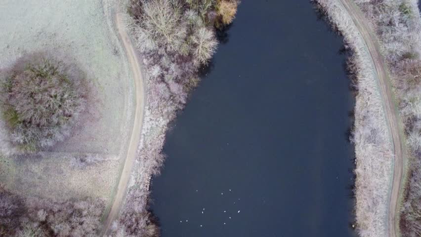 An overhead flight of one city Park with birds flying underneath