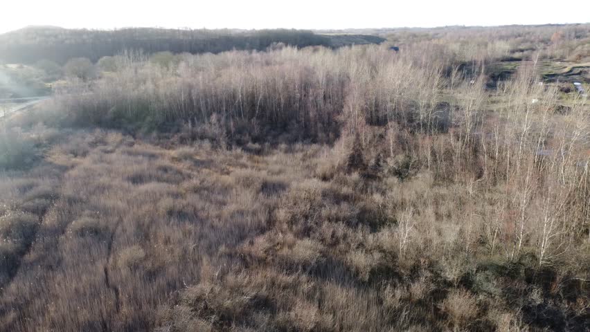 The drone footage of the forest with leafless trees. Hedeland, Hedehusene, Denmark.