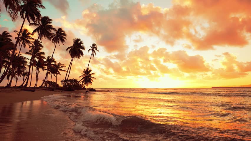 Orange warm summer sunset on a paradise island in the Atlantic Ocean. Great summer sunset. Waves are hitting the shore. Beach with palm trees goes into the sea against the backdrop of the setting sun.