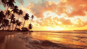 Orange warm summer sunset on a paradise island in the Atlantic Ocean. Great summer sunset. Waves are hitting the shore. Beach with palm trees goes into the sea against the backdrop of the setting sun. - Powered by Shutterstock - Get 15% off with code: PIKWIZARD15