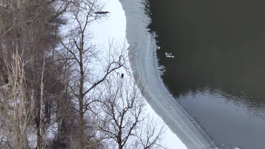 An aerial scenery of the bare trees on the snowy bank of the Sumas River in British Columbia, Canada