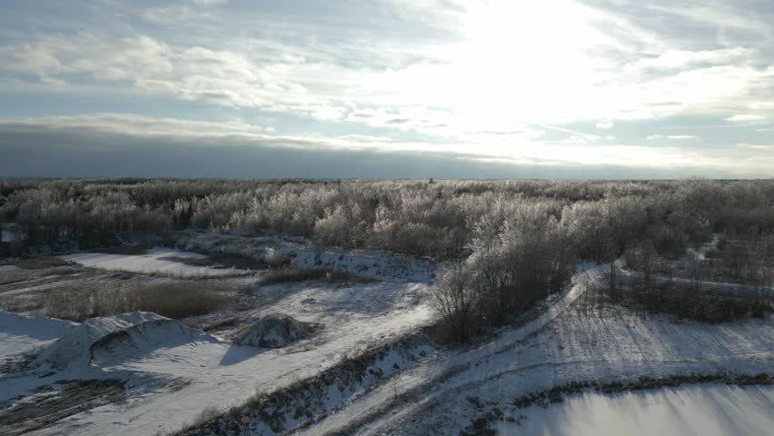 A drone footage of trees in a snow-covered forest in Ottawa, Canada