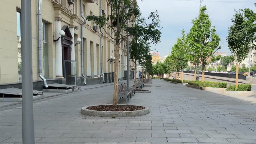 a street lined with young trees and benches near a busy thoroughfare. urban landscaping and street improvement. walk along the street with young trees and benches.