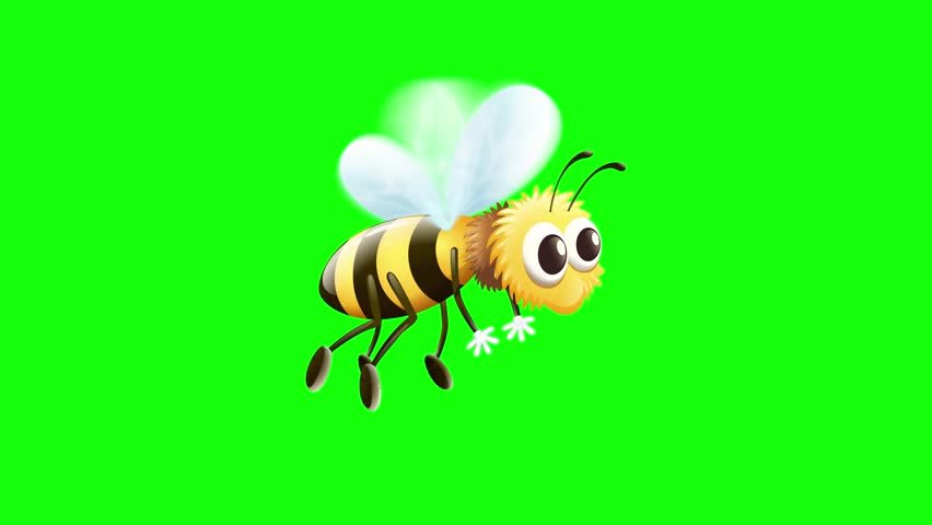 Animation of a bee in flight on a green background chroma key