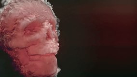 Digital animation of a burning red-orange fiery human skull. 3d rendering 4K. 3D Illustration - Powered by Shutterstock - Get 15% off with code: PIKWIZARD15