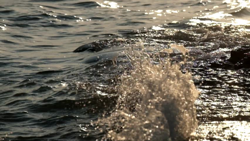 Close up of water spray hitting the edge of the lake. View of the edge of the lake in the afternoon. Abstract patterns and tectures. Footage 4K,60fps