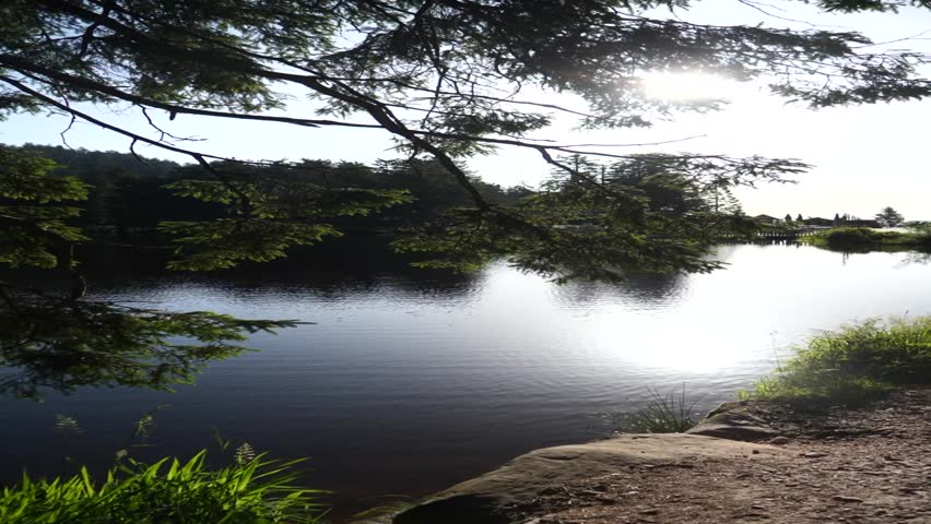 A vertical shot of a lake in the forest with bright sun shining in the sky