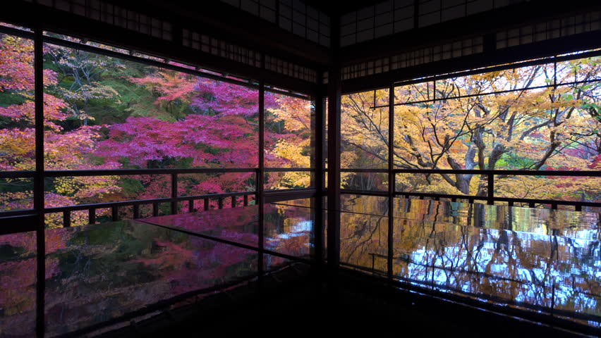 Autumn in Kyoto, Japan, panning shot showing colorful maple trees surrounding the historic Ruriko-in Buddhist temple in the fall season.