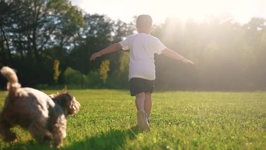 Child and dog is running on the grass. Happy pet fun concept. A dog is running around in a park with kids. A kid and a child are running on the grass near lifestyle a dog.