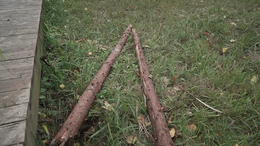A closeup of wooden logs on green grass