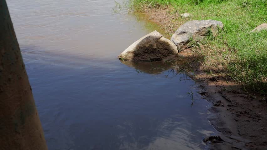 A riverside view of a the Rio Grande River in Las Cruces, New Mexico on summer day under blue cloudy sky