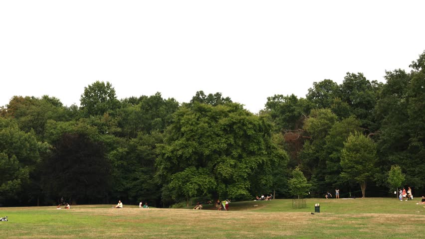 time lapse of people walking through prospect park with trees and large lawn (summer recreation fast moving speed sped up footage) brooklyn new york nature landscape outdoor