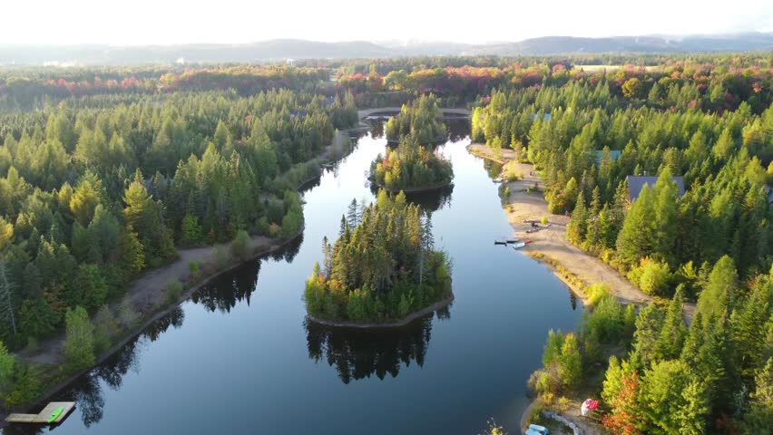 An aerial shot of a lake and a forest
