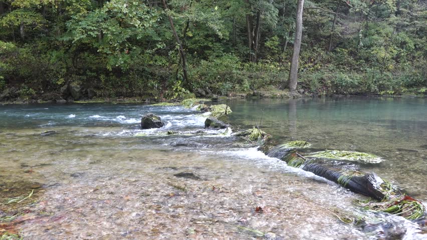 A clear flowing spring-fed stream in the Ozark region of Missouri