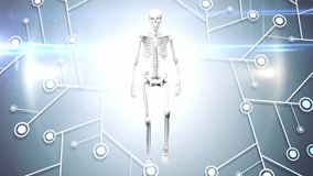 Animation of digital human skeleton model over network of connections and light on black background. Global connections, science, medicine and digital interface concept digitally generated video. - Powered by Shutterstock - Get 15% off with code: PIKWIZARD15