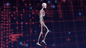 Animation of snow falling over digital human skeleton and data processing on black background. Global medicine, science, computing and digital interface concept digitally generated video. - Powered by Shutterstock - Get 15% off with code: PIKWIZARD15